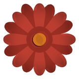 Wallpaper Of Flowers 4K icon