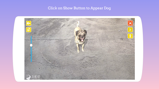 Android application Dog play Ar screenshort