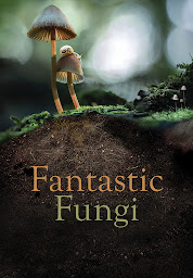 Imagen de icono Fantastic Fungi