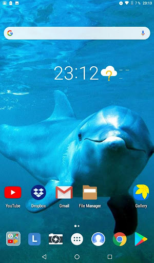 Delfines fondos de pantalla
