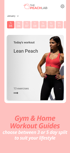The Peach Lab Screen 3