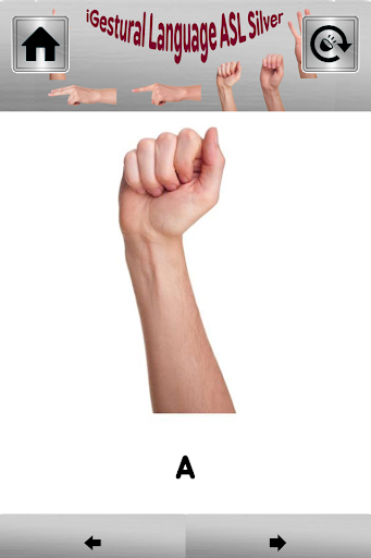 iGestural Language ASL Silver Screen 2
