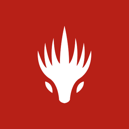 Dragonfire Chronicles logo