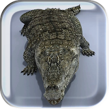 Mega Crocodile Live Wallpaper icon