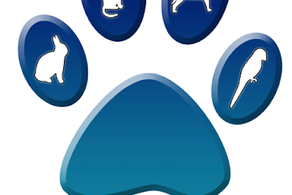 monticello animal hospital shawnee
