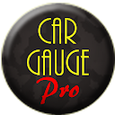 Car Gauge Pro (OBD2 + Enhance)