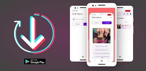 TikTok VidDown