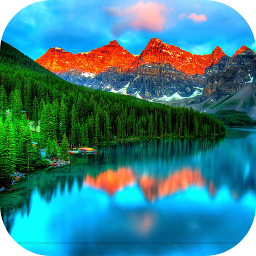 50000 Nature Wallpapers logo