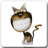 Funny Cat Live Wallpaper Pro icon