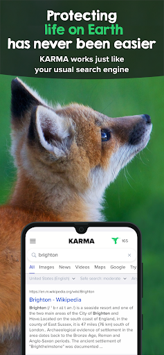 KARMA Search Screen 3