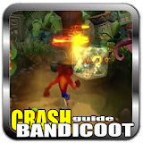 New Crash Bandicoot Tips icon