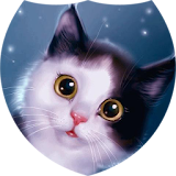 Playful kitten live wallpaper icon