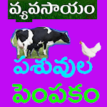 Cover Image of डाउनलोड Pasuvula Pempakam  APK