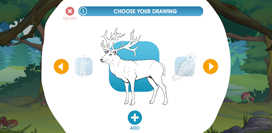 Animal Drawings