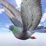 Cover Image of Tải xuống Wild Pigeon Simulator 1.2 APK
