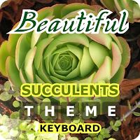 Beautiful Succulents Themed Keyboard