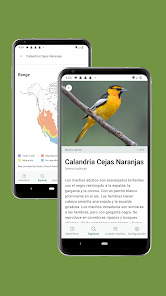 Imagen de la captura de pantalla