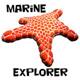 Sydney Marine Life icon