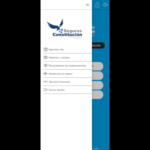 Constitución Atiempo Screen 3