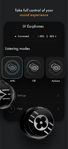 Screenshot of Louis Vuitton Connect