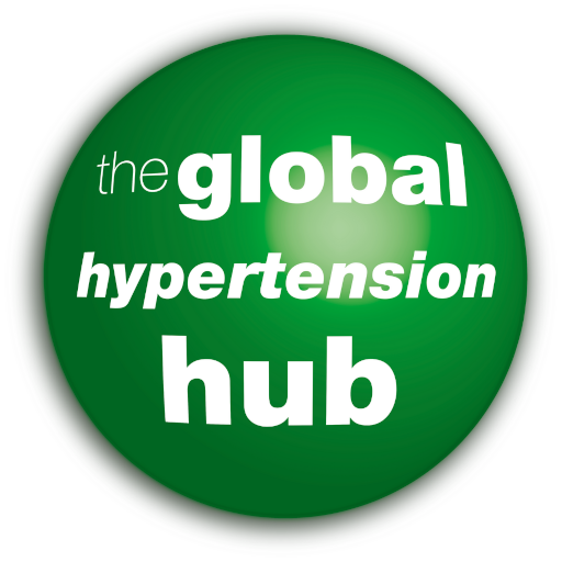 HYPERTENSION 2021 logo
