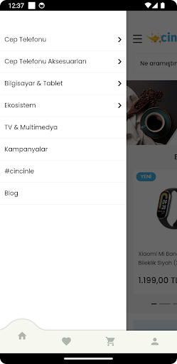 Cincin Screen 2