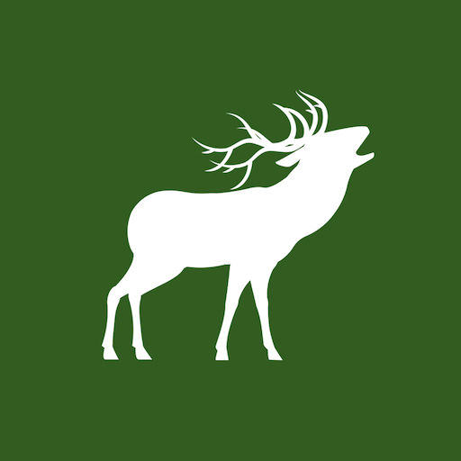 I-Trophy logo