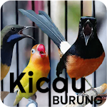 Cover Image of डाउनलोड पूर्ण पक्षी चहकते हैं 5.0 APK