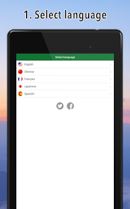 Screenshot image