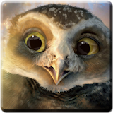 Owl Guardians Live Wallpaper icon