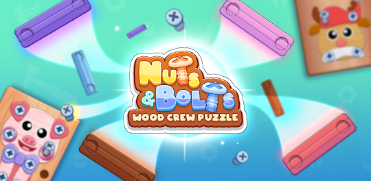 Nuts & Bolts Screw Puzzle