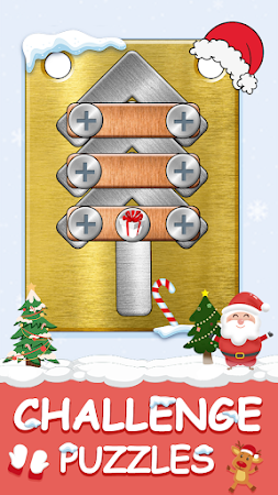 Game screenshot Screw Pin Puzzle:スクリューピンパズル mod apk