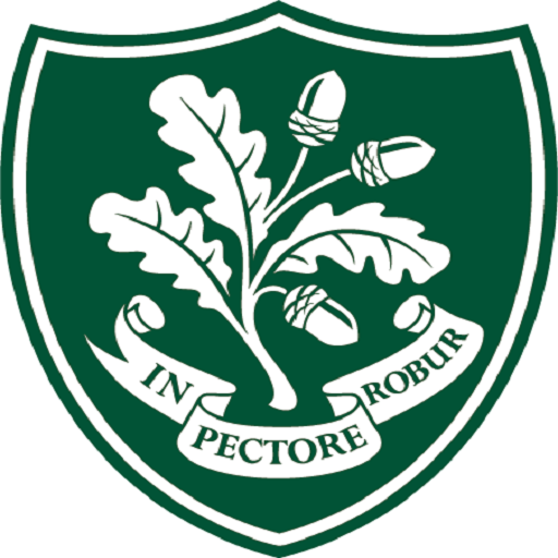 The Forest Network logo