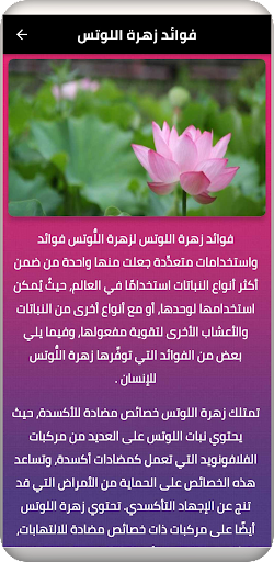 Android application اللوتس screenshort