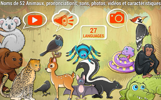 Aperçu de l'application