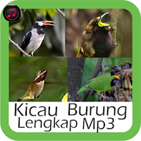 kicau burung lengkap