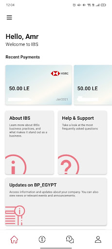 IBS Mobile Screen 3