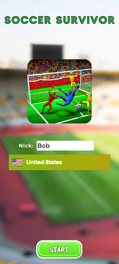 Soccer Survivor: Net Survivor - Screenshot 1