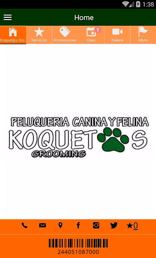 Android application Koquetos Grooming screenshort