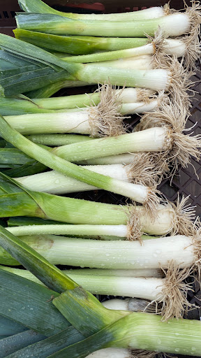 Green Onion Wallpaper Screen 3