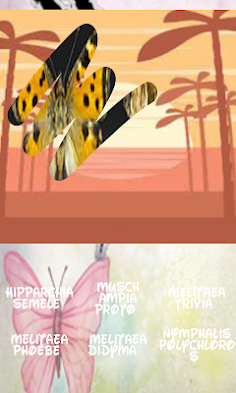 Butterflies, scratch hiding - Screenshot 2
