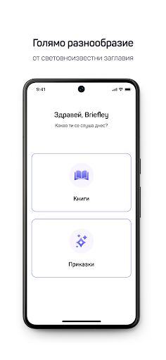 Briefley Screen 3
