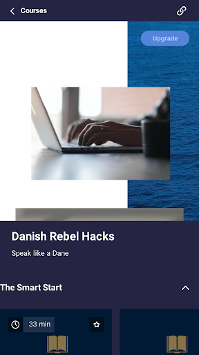 Danish Rebel Screen 3