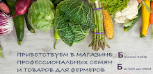 Агрофирма Кубанское поле APK