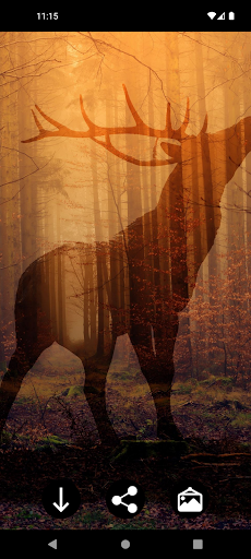 Android application Beautiful Deer Wallpapers screenshort