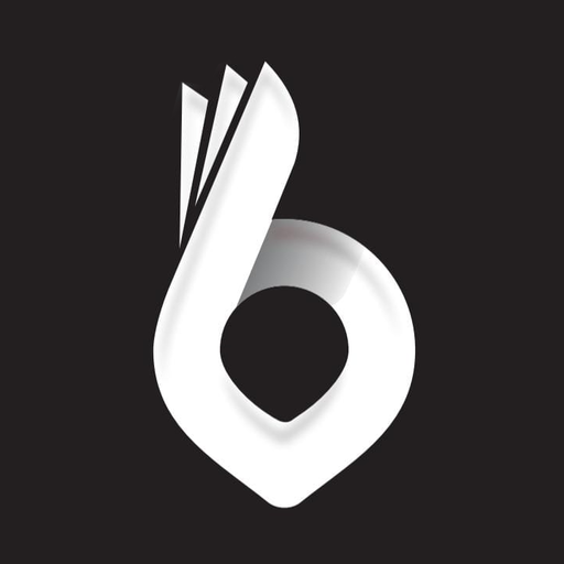 Blaze Driver logo