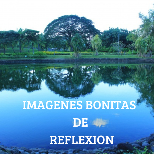 IMAGENES BONITAS DE REFLEXION Download on Windows