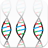 DNA Replication icon