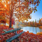 Cover Image of ダウンロード Autumn wallpapers 8 APK