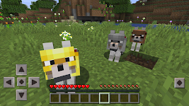 screenshot of Wolf Armor Mod for Minecraft
